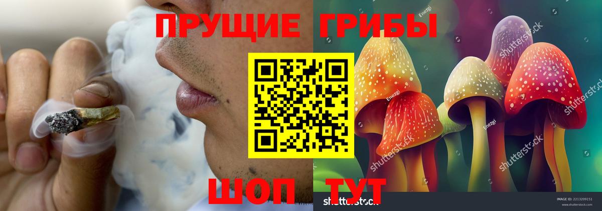 Галлюциногенные грибы мухоморы  Вход с VPN  Галлюциногенные грибы ЛСД  Магадан 